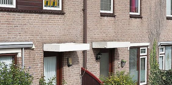 Saturnusgeel 6 - Foto 3