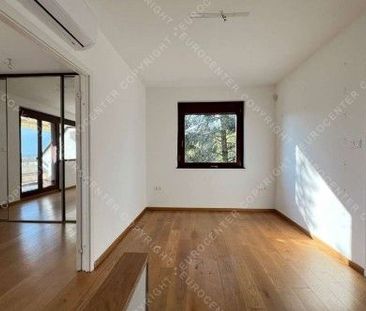 Apartment for rent long term #411557 - Photo 3