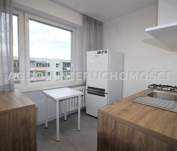Południe, Włocławek - Photo 1