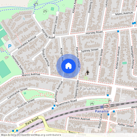 25 Knight Avenue, NSW 2213, Panania