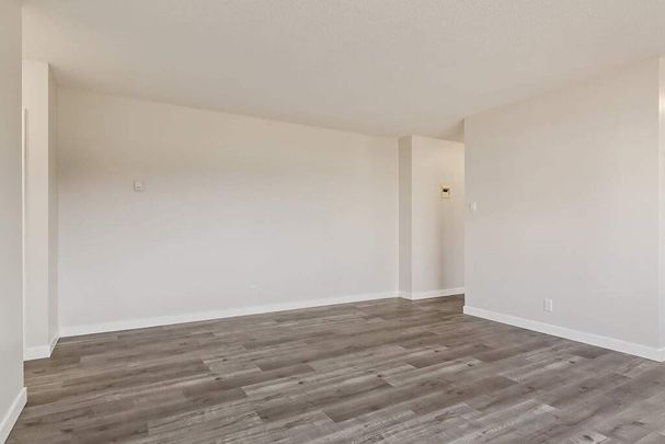 1 Bedroom - Photo 1