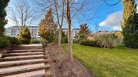 Piso de alquiler en Calle Coto Blanco, Zona Monte El Pilar - Photo 4