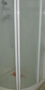 Location Appartement 2 pièces 34m² AULNOY LEZ VALENCIENNES 59300 - Photo 4