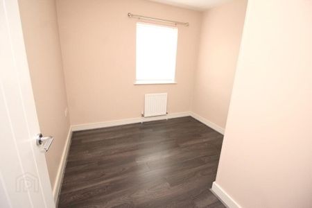 26 Ayrshire View, Lisburn, BT28 2SE - Photo 3