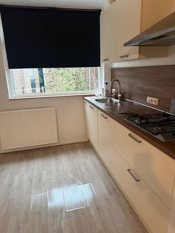 Biezenstraat - Foto 4