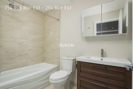 254 Rue Roy Est - 254 Roy Est - Photo 4