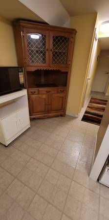 Spacious, Furnished 1-Bedroom Basement - near Leslie &York Mills - Cit - Photo 1