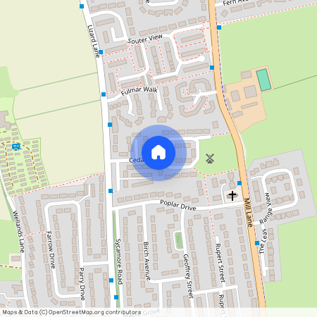 Cedar Grove, Whitburn, Sunderland