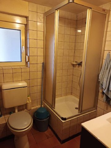 Location appartement 1 pièce 30.64 m² à Ottmarsheim (68490) - Photo 5