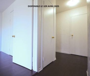 logement a louer - Photo 2