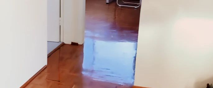 31 Boronia St, Sydney - Photo 1