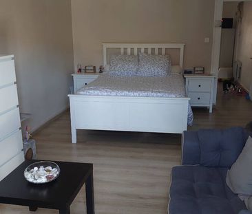 Location appartement 1 pièce 34 m² à Meximieux (01800) - Photo 3