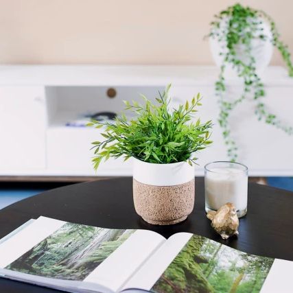 2 Bed, 1 Bath - Photo 1