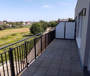 Penthouse mit Blick auf die alte Elbe! - Foto 1