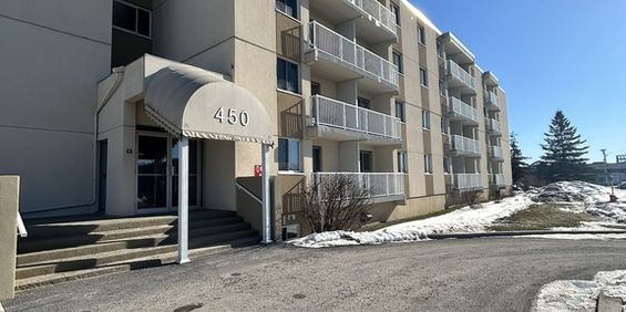 PRÈS DE TOUT À AYLMER-LOGEMENT 1CHAMBRE - Photo 3
