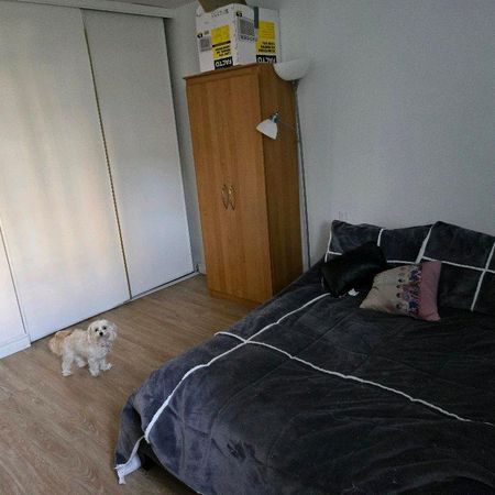 Appartement 31/2 - Photo 3