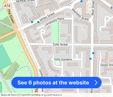 Tullis Gardens, G40 - Photo 1