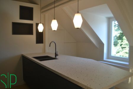 In het centrum gelegen volledig gerenoveerd duplex appartement met hoogwaardig materiaal - Photo 3