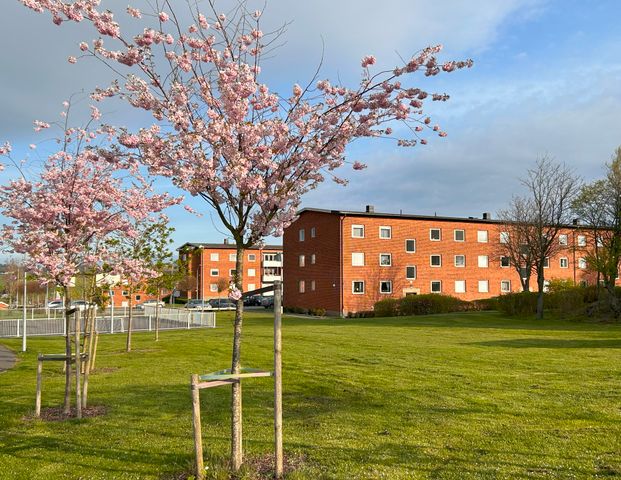 Landstingsgatan 4C - Photo 1