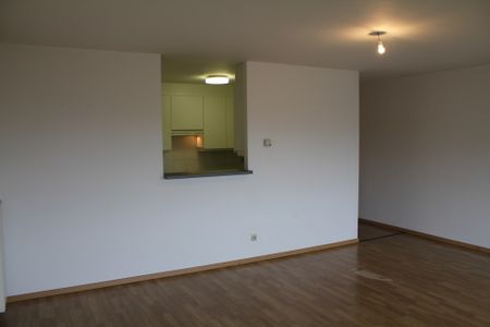 Sippelberg - 3-Bedroom Apartment - Directly from the owner - Photo 3