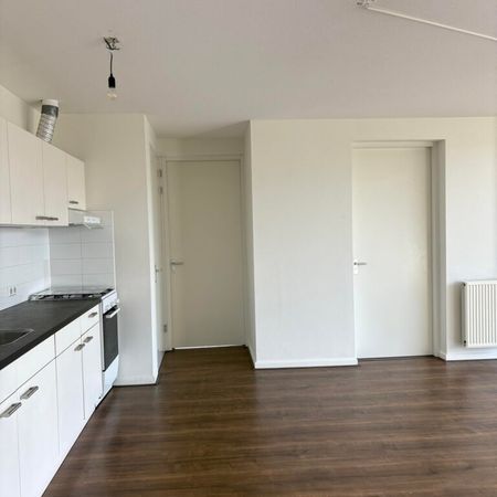 Papegaaistraat - Photo 4