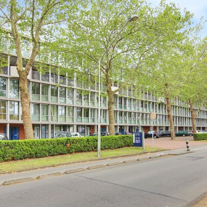 Het Hoogt 482, 1025 HM, Amsterdam - Foto 1