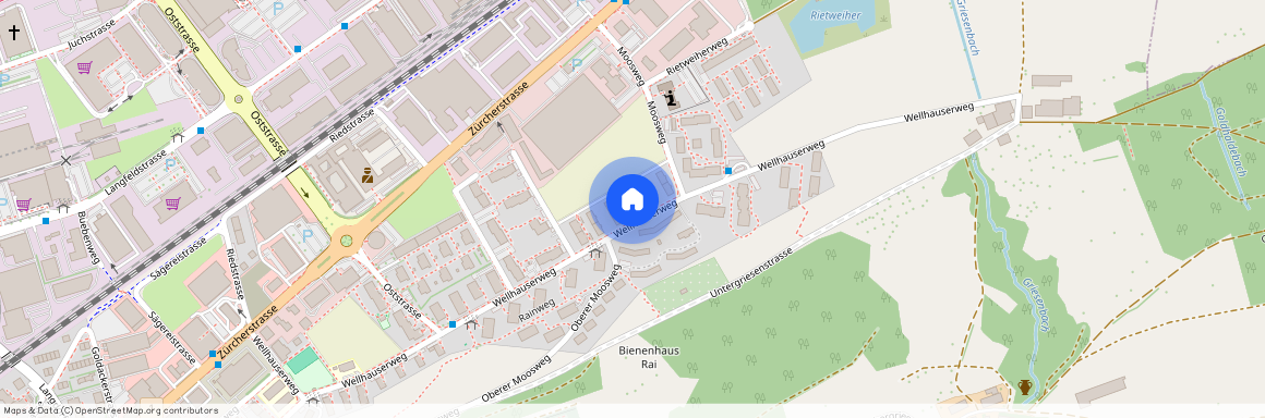 8500, Frauenfeld, Wellhauserweg, 39