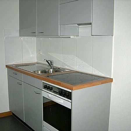 Traumhafte Aussicht über Zürich mit Bergpanorama - Photo 1