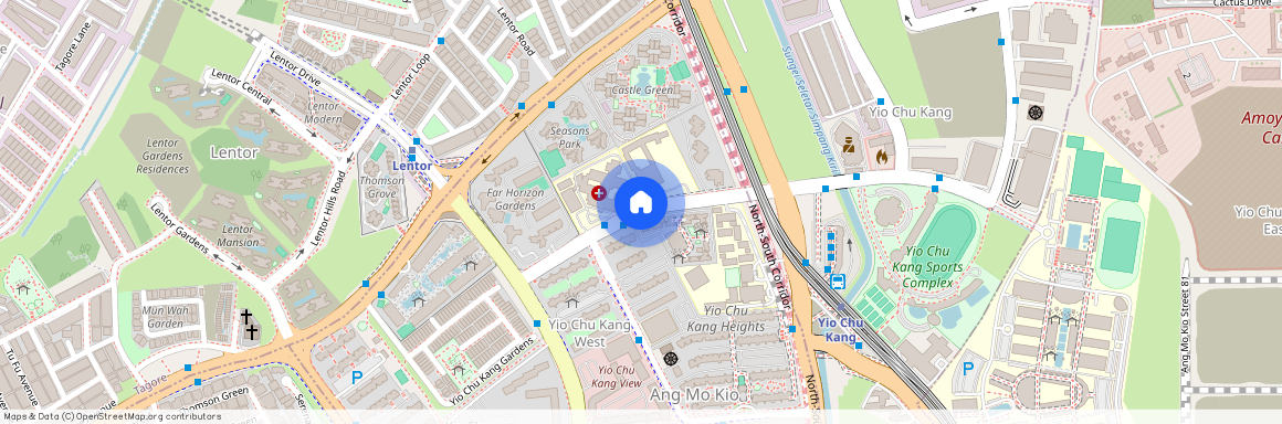 Ang Mo Kio Avenue 9, Singapore