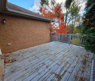 For Lease - 199 Livingstone Street, Barrie, Ontario - Photo 4