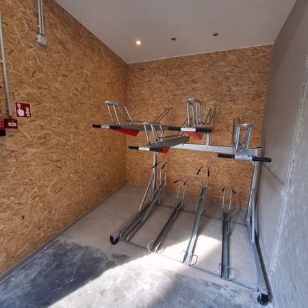 — Papegaaistraat - Photo 4