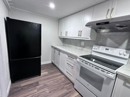 For Lease - 55 Munson Crescent Unit# Lower, Toronto, Ontario - Photo 4