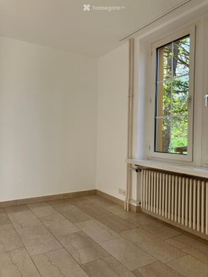 Renovierte 3.5-Zimmer-Wohnung im Erdgeschoss in Nenzlingen – ab November 2026 verfügbar - Photo 1