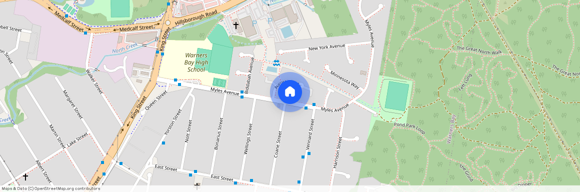 41 Myles Avenue, NSW 2282, Warners Bay