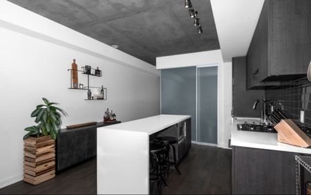 For Lease - 109 Ossington Avenue Unit# 217, Toronto, Ontario - Photo 2