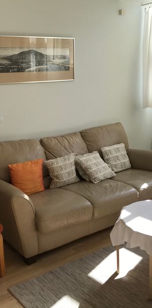 Merkuriusgatan, Lund - Photo 2