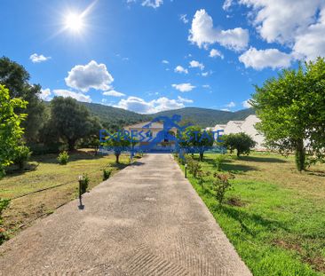 Μονοκατοικία 90 τ.μ. προς ενοικίαση - Photo 6