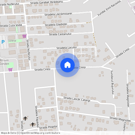 Aleea cu Ciresi, Iasi