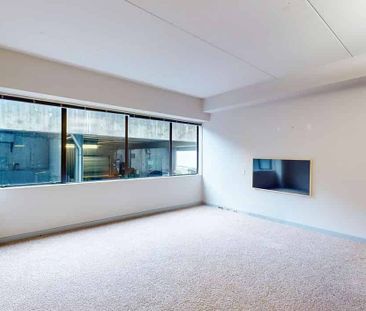 CBD Studio - Photo 3