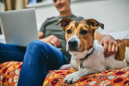 10 Deerfield Drive, Braemar Park - Bel Air Heights - Copeland Park, Ottawa, ON - Photo 2