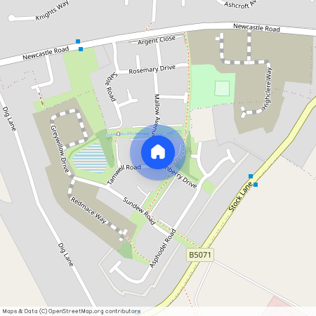 Marshfern Place, Shavington