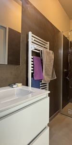 Location Appartement 1 pièce 36m² FLEURANCE 32500 - Photo 3