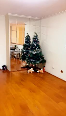 City-Ultimo - 333 Bulwara Rd, Sydney - Photo 2