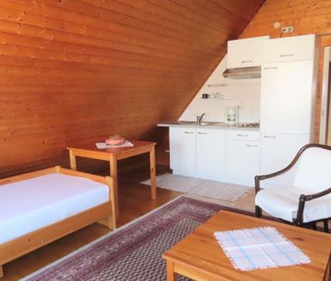 Möbliertes Singleapartment - 1 ZKB in KS-Am Lindenberg - Photo 4