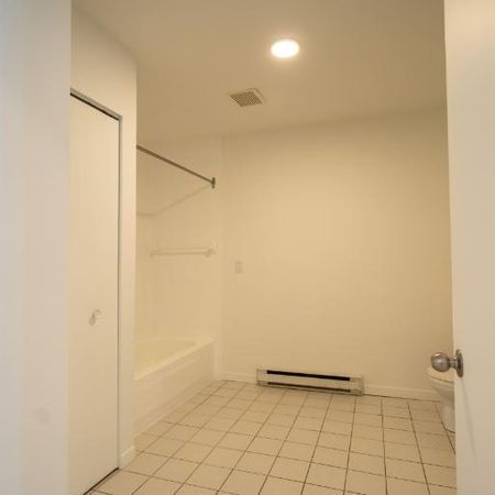 1 CH - 1 SDB - Saint-Charles-Borromée - $1,100 /mo - Photo 3