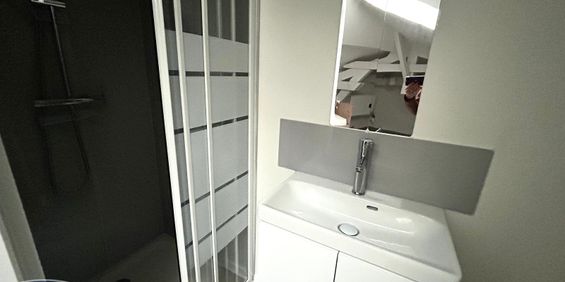 Location Appartement 1 pièce ST ETIENNE 42000 - Photo 3