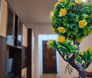 Închiriez garsoniera în Deva P-ta centrala - Photo 6