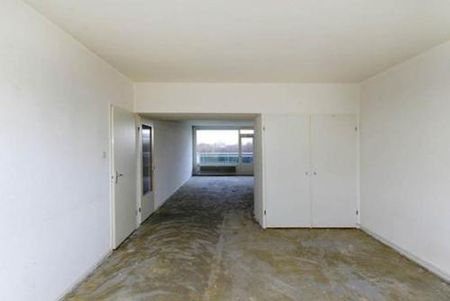 Forellendaal 2553 's-Gravenhage - Photo 3