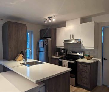 3 et demi a louer animaux acceptés - Photo 3