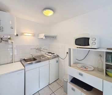 Location Appartement 1 pièce Meublé 19m² BORDEAUX 33000 - Photo 4